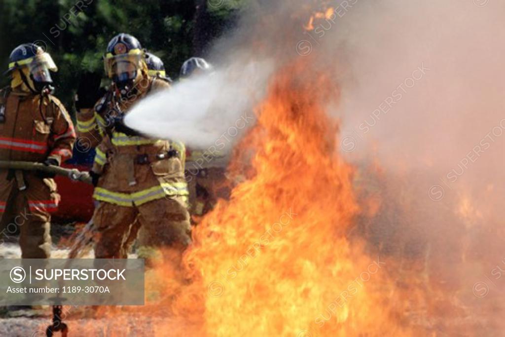 Stock Photo: 1189-3070A Four firefighters extinguishing a fire