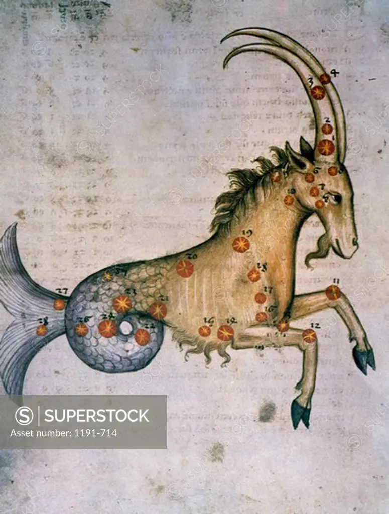Capricorn or Goat, Signs of the Zodiac by artist unknown (from Atlas Celeste De Strabov)