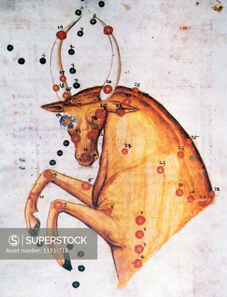 Stock Photo: 1191-718 Taurus or Bull, Signs of the Zodiac by artist unknown (from Atlas Celeste De Strabov)