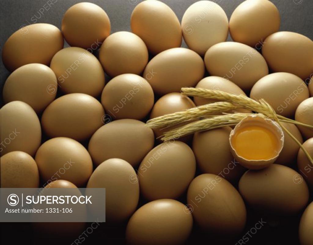 Stock Photo: 1331-106 Eggs