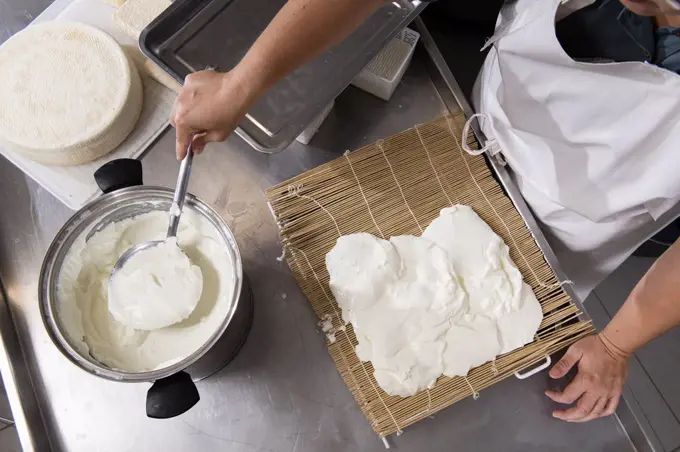 Cheesemaker puts fresh cheese on the rush for a typical process.