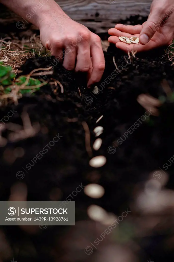 Woman planting seeds in soil