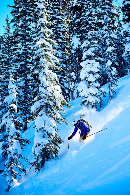Man skiing down steep snow covered forest, Aspen, Colorado, USA