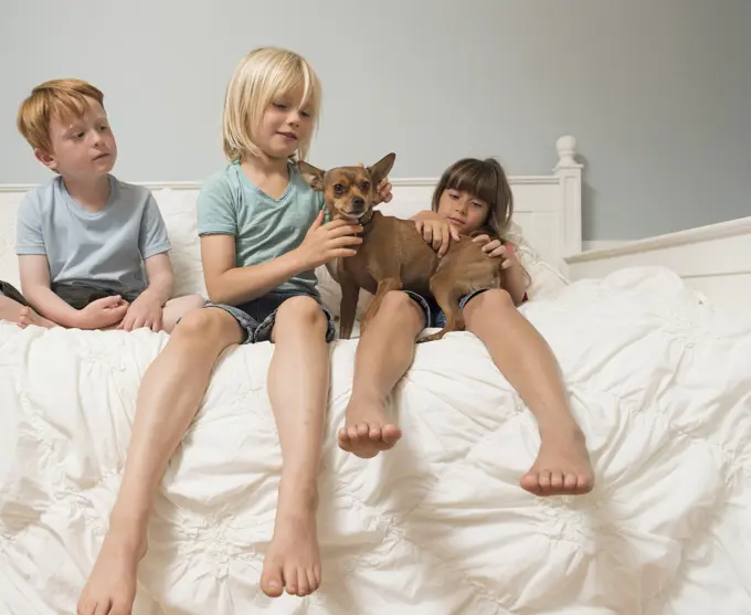 Children sitting on bed stroking dog
