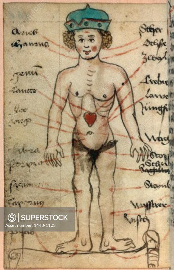 Stock Photo: 1443-1103 Bloodletting Mannequin (Depiction of How the Zodiac Influences Humans) 16th C. Artist Unknown Illuminated manuscript Bibliotheque Nationale, Paris, France