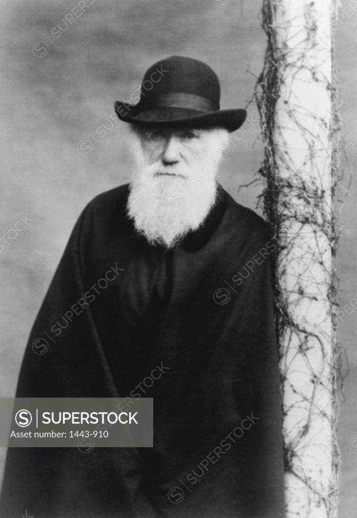 Stock Photo: 1443-910 Charles Darwin (1809-1882) English Naturalist c. 1870