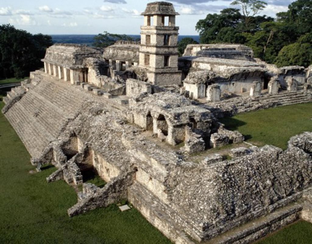 High angle view of the ruins of a palace, Palenque (Mayan), Mexico