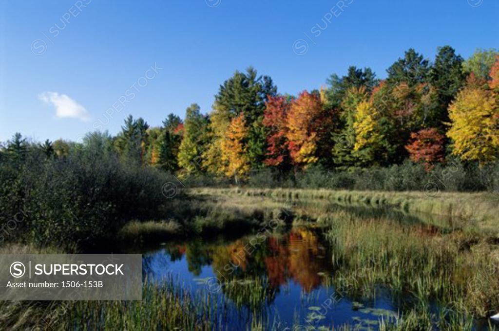 Stock Photo: 1506-153B Reflection of trees in water, Wisconsin, USA
