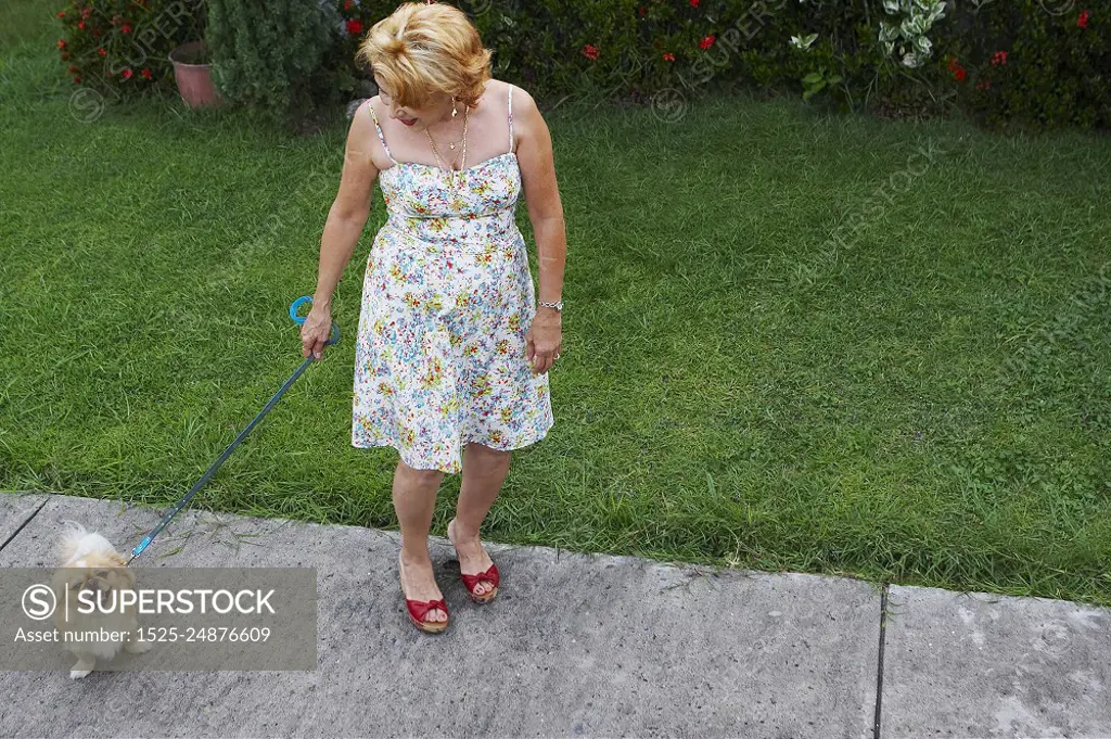 High angle view of a senior woman standing with a dog in a lawn