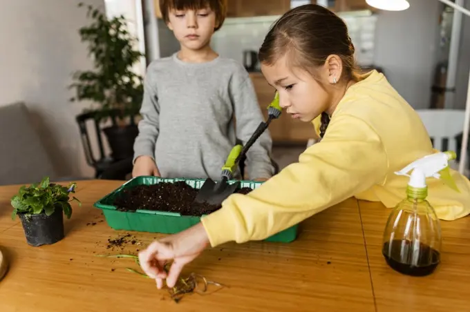 kids learning how plant seeds home