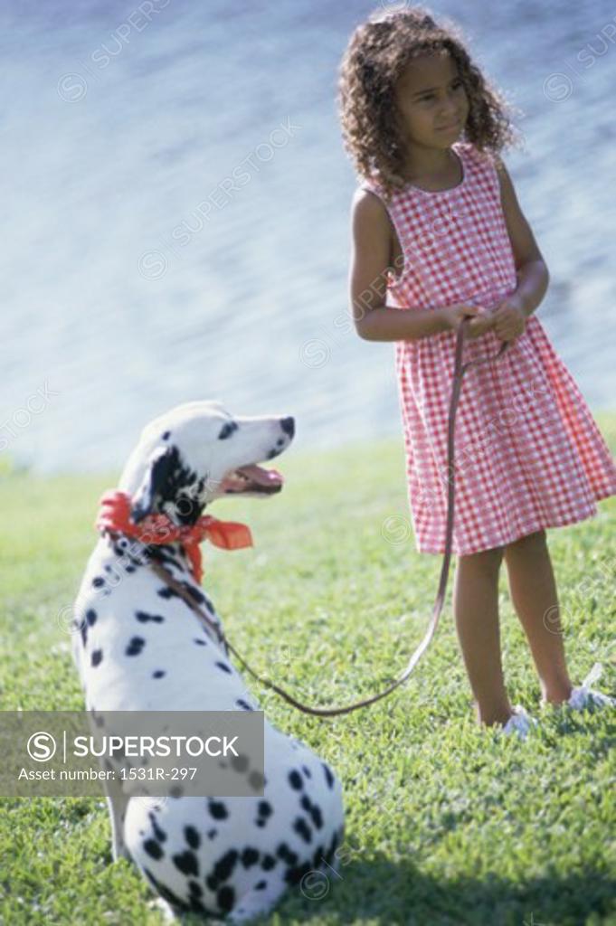 Stock Photo: 1531R-297 Girl standing with a Dalmatian