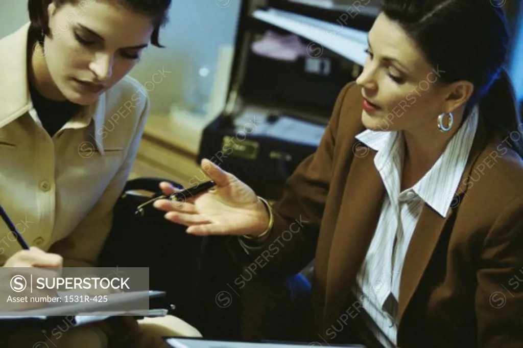 Two businesswomen working in an office
