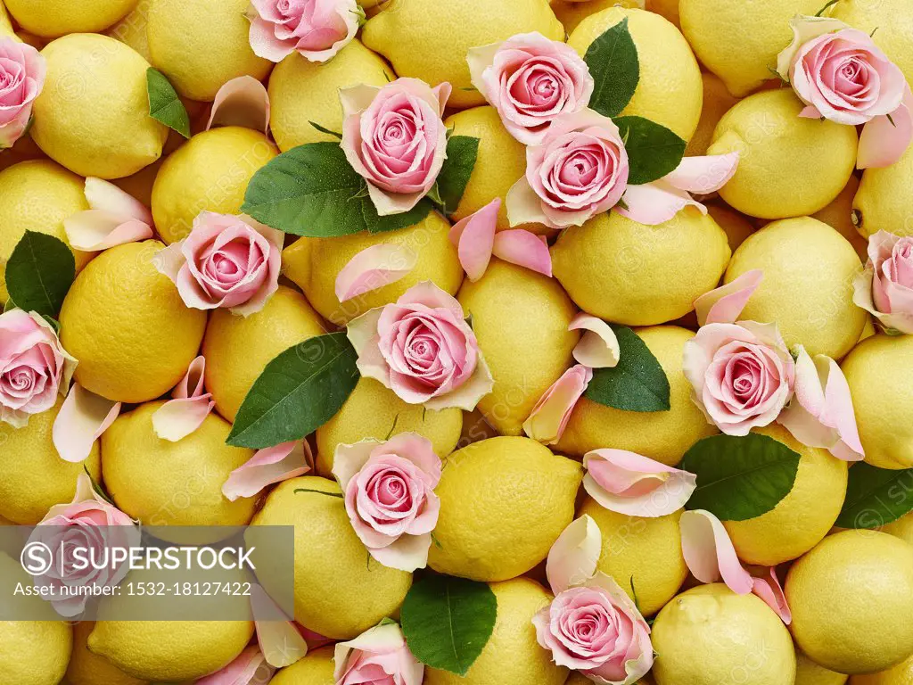 Lemons and pink rose petals with leaves (whole image)