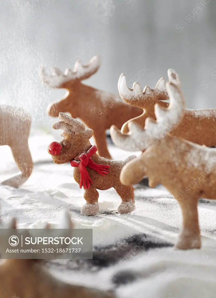 Rudi Rednose - Reindeer biscuits in icing sugar snow