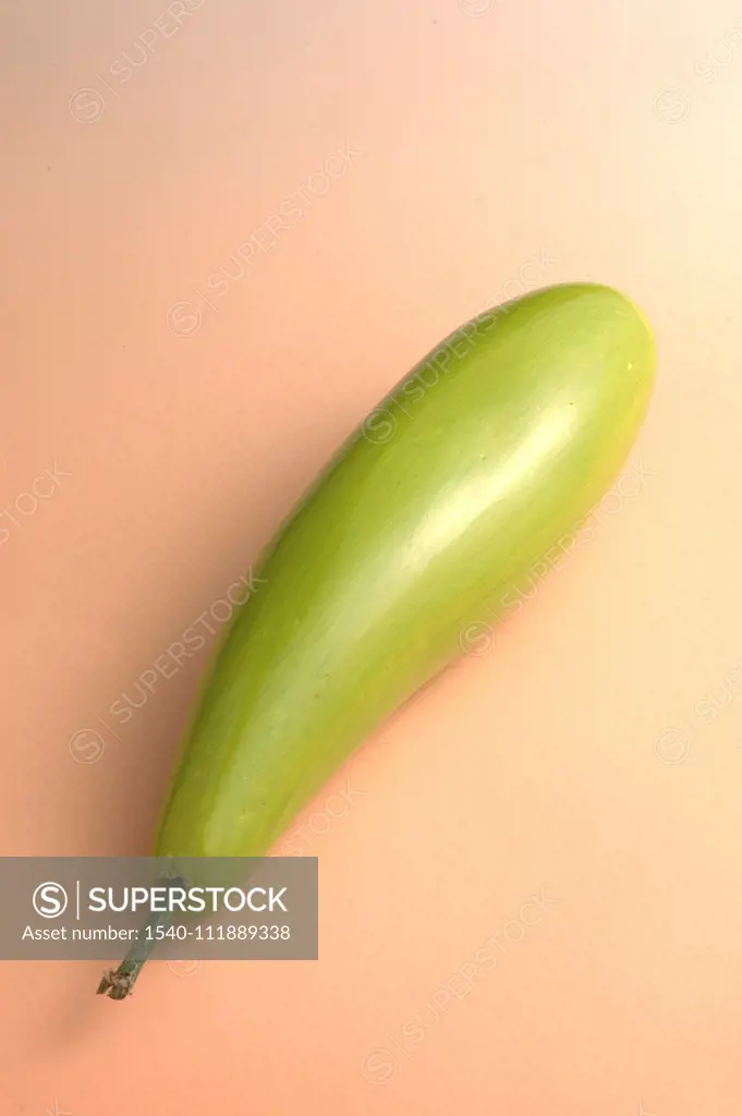 Bottle gourd vector vectors hi-res stock photography and images - Alamy