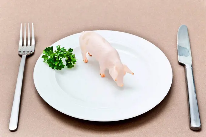 Animal figure, pig, food, plate, fork, knife, cutlery,