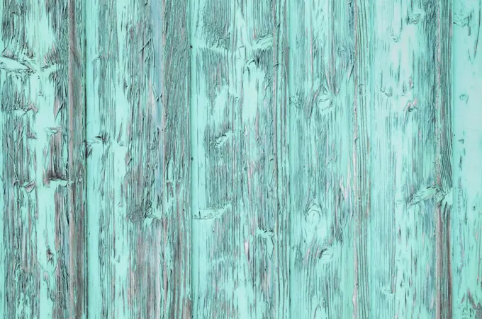 Weathered boards of an old gate with peeling paint. Original color pink replaced with pastel mint. For example as a background for text. [M]