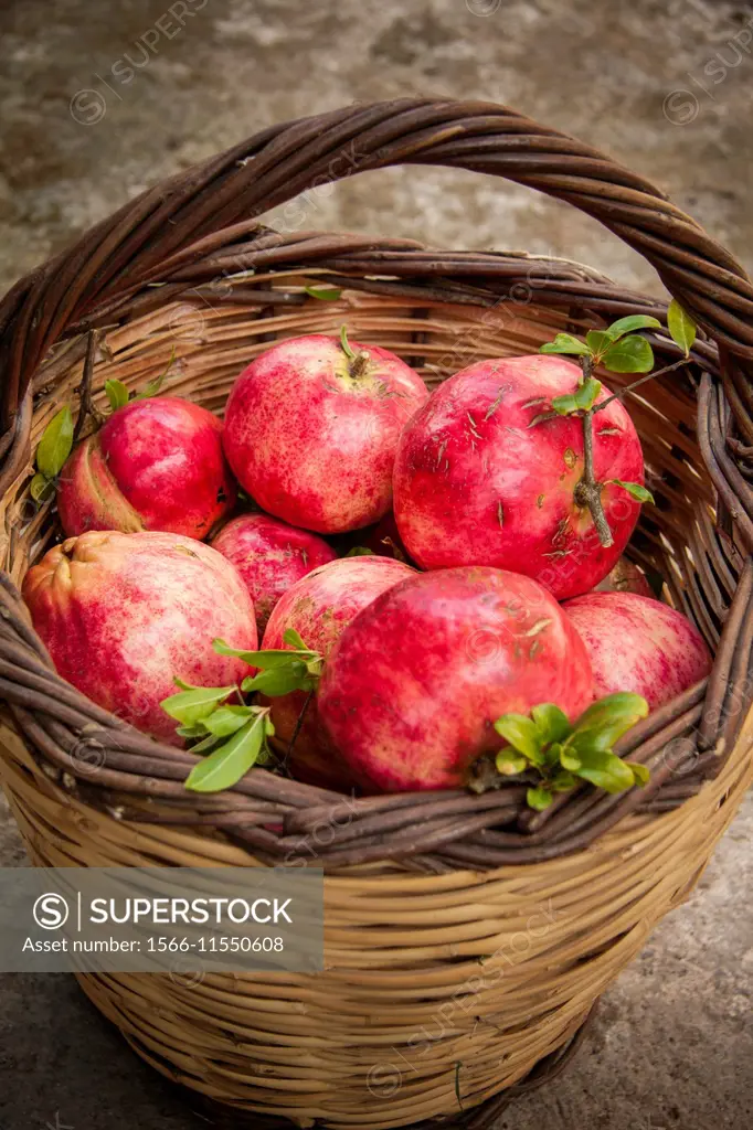 A basket with pomegranates at Pournaria village. Arcadia, Peloponnese, Greece.