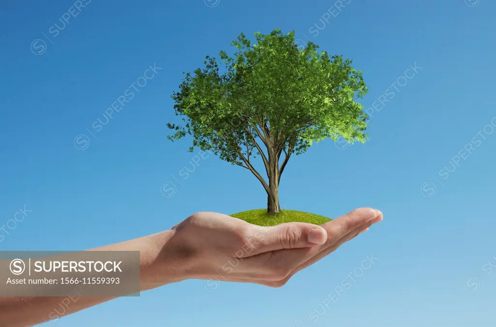 Woman´s hand holding a tree.