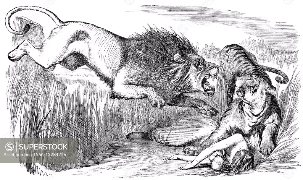 1857 Punch cartoon „The British Lion´s Vengeance on the Bengal Tiger“  commenting The Siege of Cawnpore or Kanpur, caricature by Sir John  Tenniel,. - SuperStock