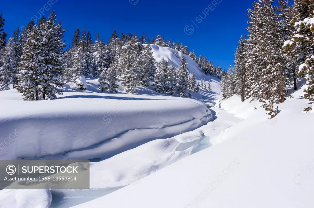 Fresh snow on Lee Vining Creek in winter, Inyo National Forest, Sierra  Nevada Mountains, California USA. - SuperStock