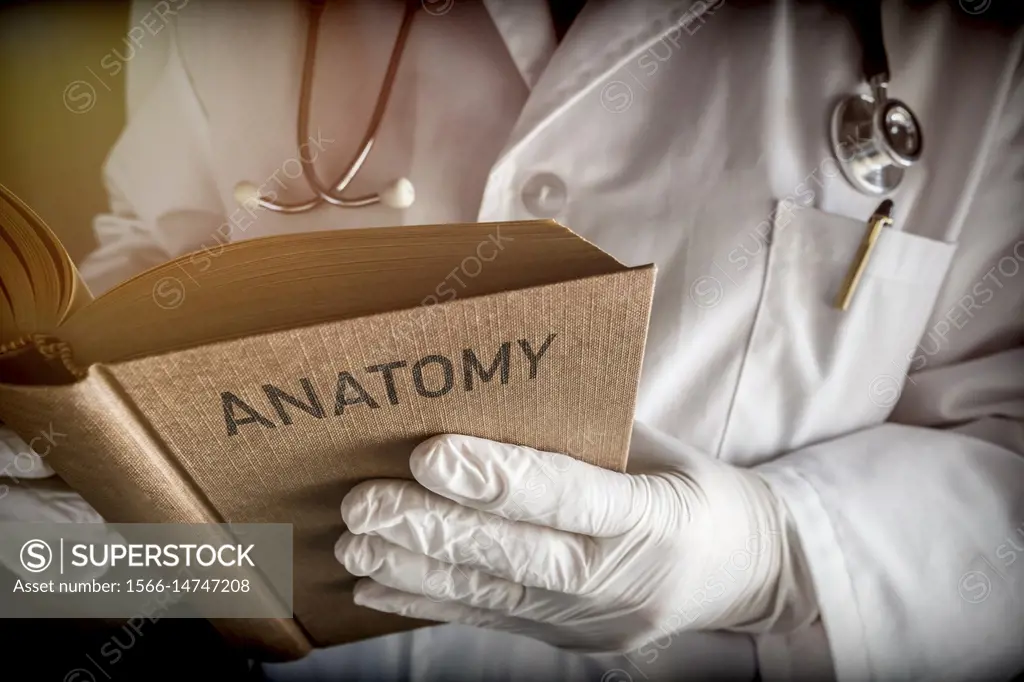 Doctor Reading Book Of Old Anatomy, Conceptual Image.
