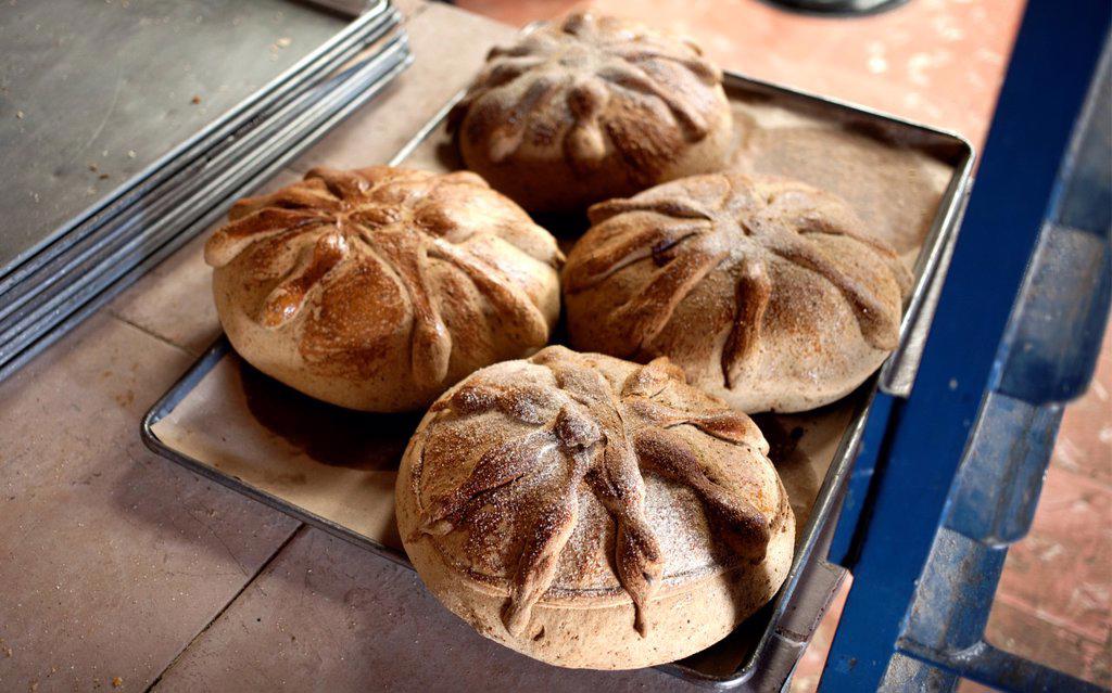 Pan de Muerto in a bakery shop in Pomuch, Hecelchackan municipality, Yucatan State, Mexico. Pan de Muerto is consume by Mexicans every year for the Da...