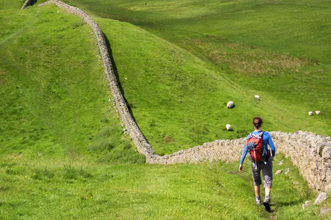 A hiker walking alongside Hadrians Wall near Crag Lough in Northumberland, England, UK.