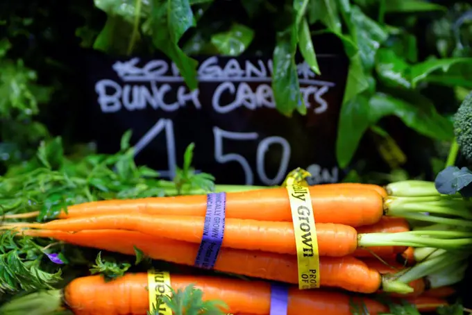 Organically Grown Carrots Displayed in a Retail Gourmet Food Market