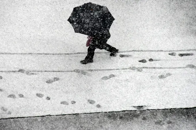 Single person walking under umbrella in heavy snowstorm, Geneva, Switzerland.