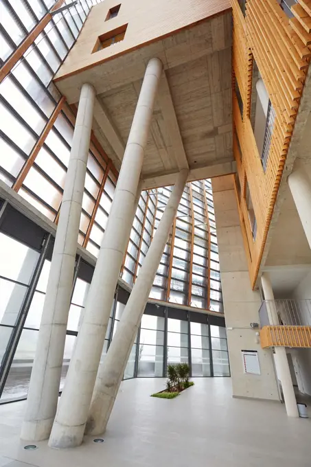 Building eco-intelligent architecture with zero emissions. Enertic Building. Martutene. Donostia San Sebastian. Gipuzkoa. Basque Country. Spain.