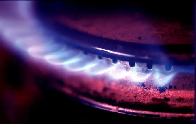 Flame of a gas Cooker.