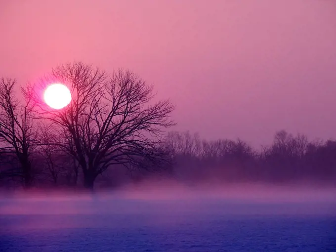 A pink sunrise, Pennsylvania, USA.