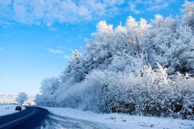 Winter landscape, Powys, Wales, UK.