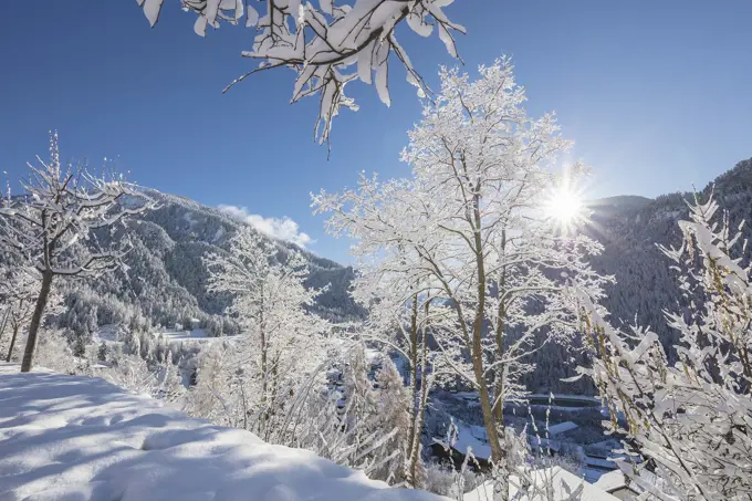 Sunbeam on snowy woods, Filisur, Albula Valley, Canton of Graubünden, Switzerland.
