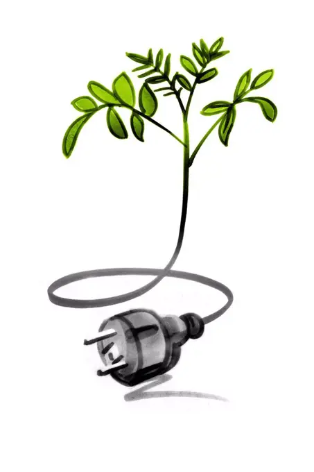 Tree sapling connected with electric cable and plug