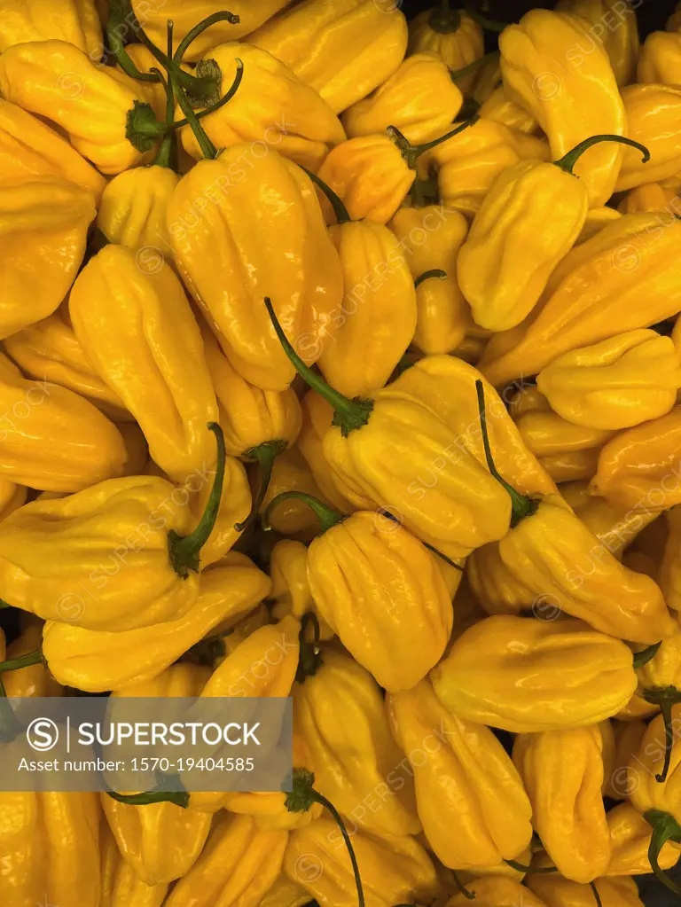 Close up vibrant yellow habanero peppers
