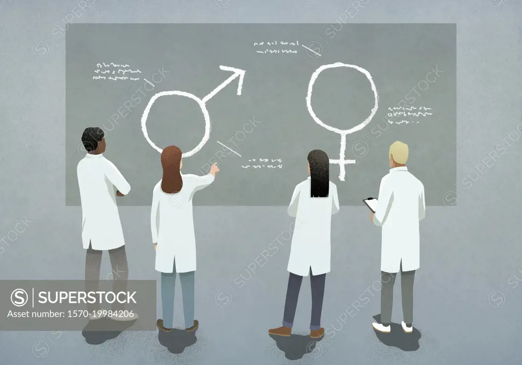 Scientists looking at male and female symbols on blackboard