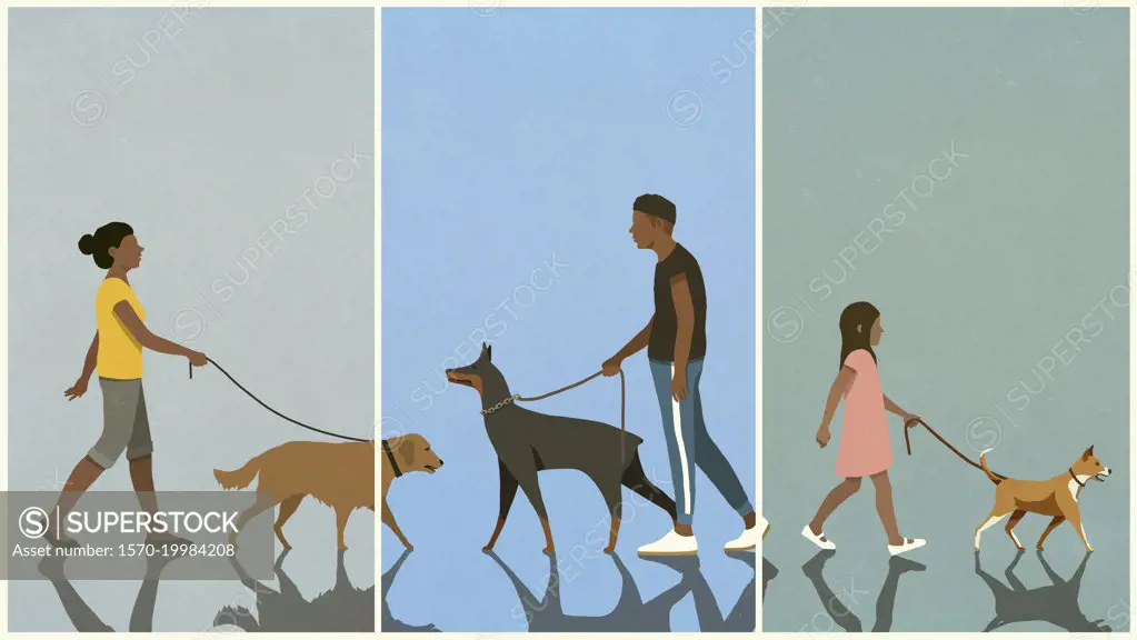 People walking dogs on leashes
