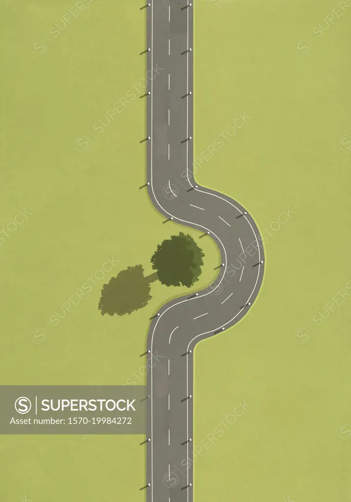 Road curved around tree