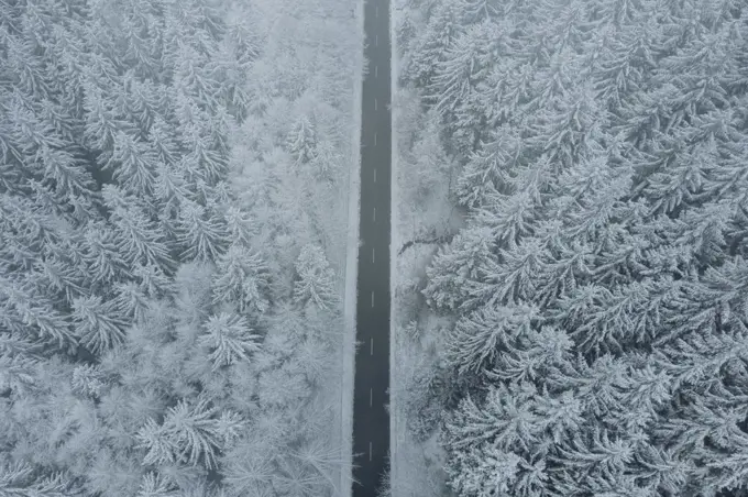 Aerial view snow covered trees along road, Snake Pass, Peak District National Park, England