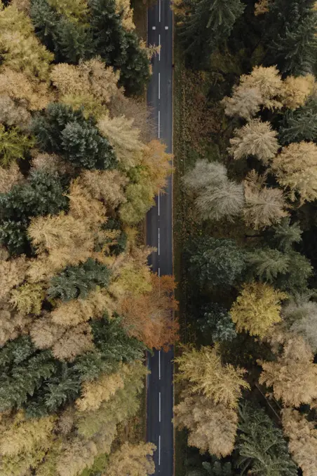 Aerial view road among autumn trees in woods, Peak District National Park, England