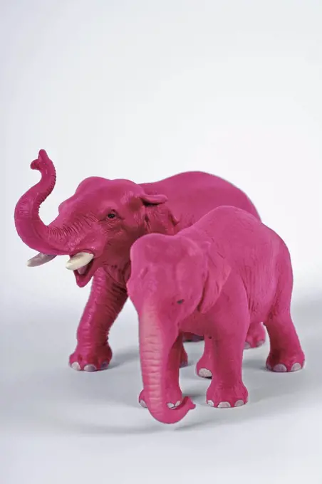 Seeing pink elephants