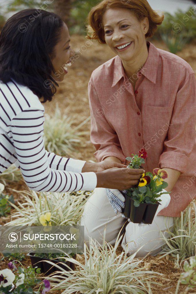 Stock Photo: 1574R-0018322B Close-up of a mother gardening with her daughter smiling