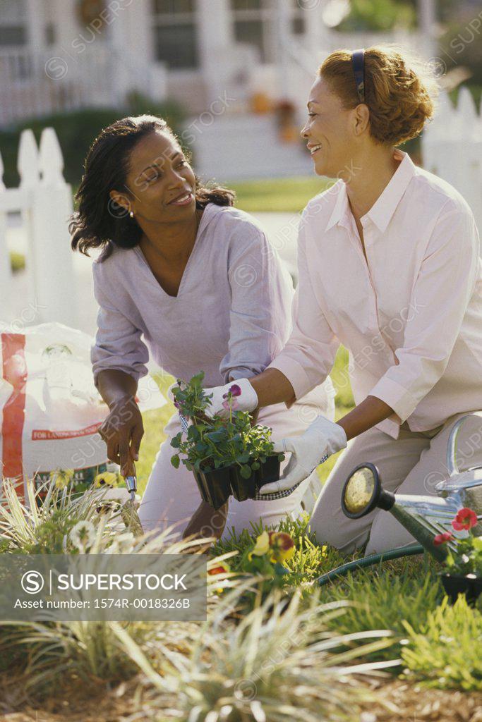 Stock Photo: 1574R-0018326B Mother gardening with her daughter