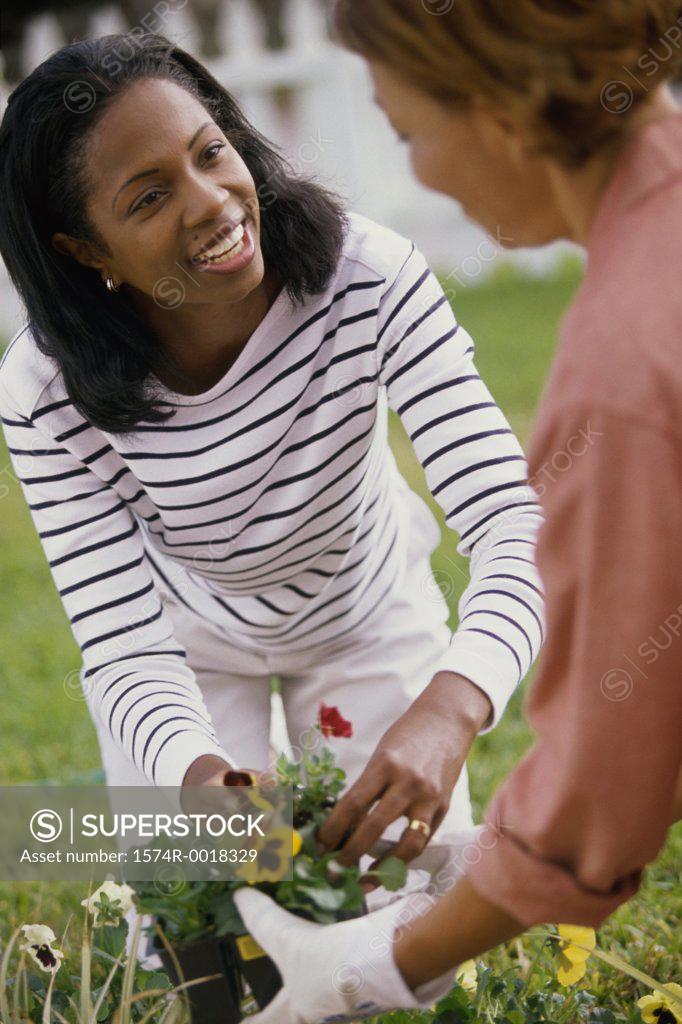 Stock Photo: 1574R-0018329 Close-up of a mother gardening with her daughter