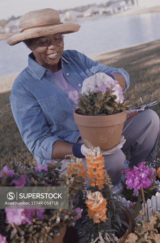 Stock Photo: 1574R-01471B Senior woman working in a garden