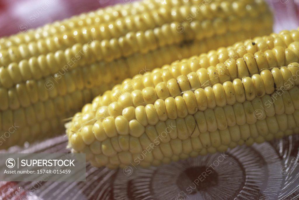 Stock Photo: 1574R-015459 Close-up of corn on the cob