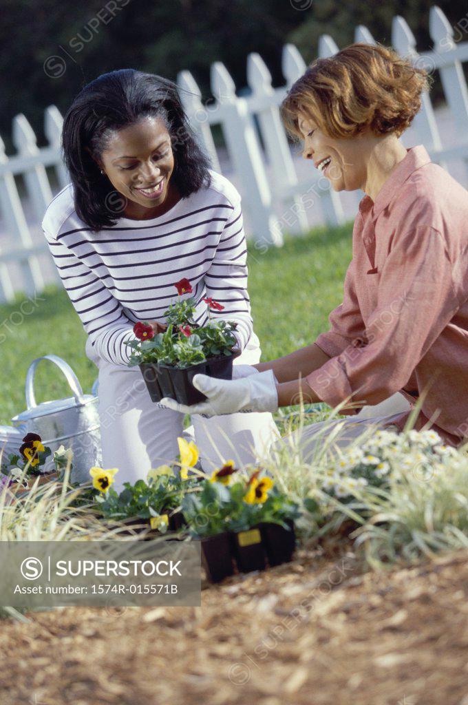Stock Photo: 1574R-015571B Side profile of a mother gardening with her daughter