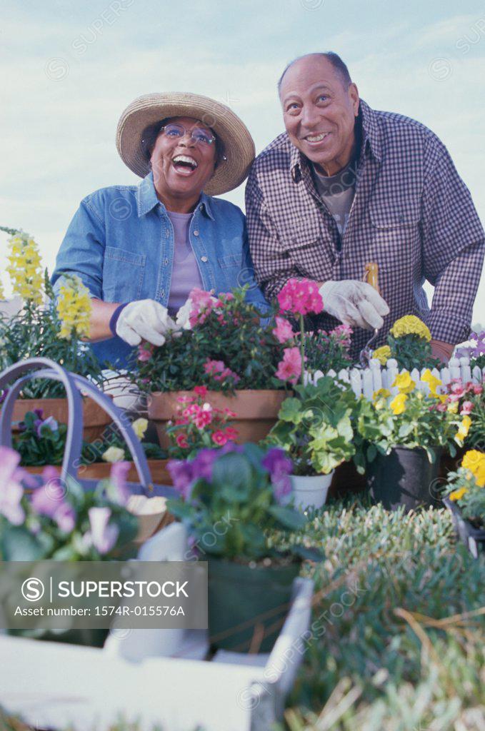 Stock Photo: 1574R-015576A Senior couple gardening in a garden